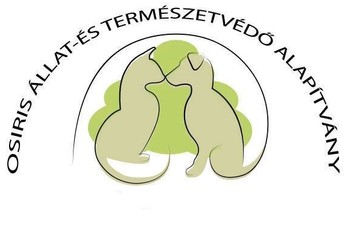 PET palackokkal adományoztunk