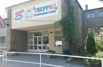 Adomány CSEPPKŐ utca